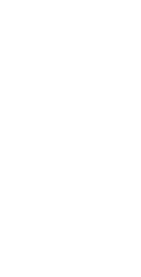 Tretji most